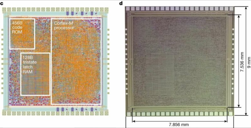 Kenalan sama Cip Fleksibel Supercerdas dari ARM